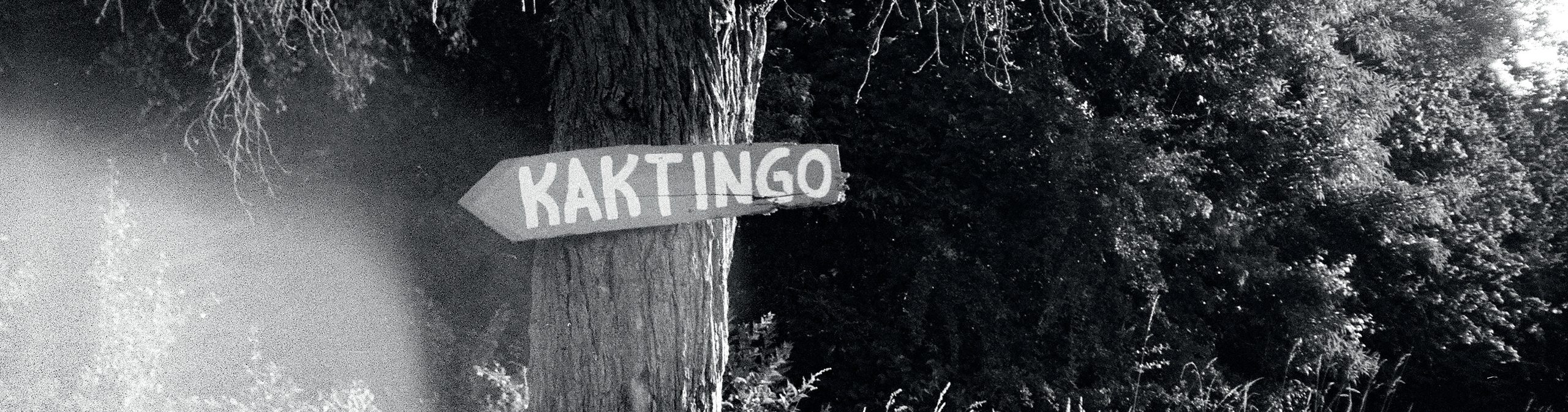 KAKTINGO Wegweiser am Baum
